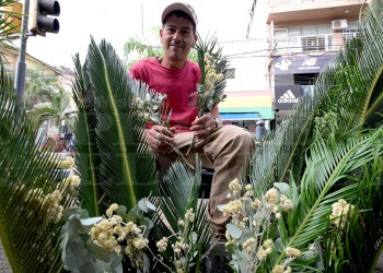 Invasión de palmas y marcelita para el Domingo de Ramos