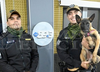 La nueva perrita de la Policía se especializará en búsqueda de personas y por ahora se llamaría “Vaina”