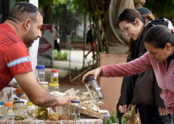 El Día Mundial de la Tierra con exposición de ofidios y fósiles de la Reserva VGM