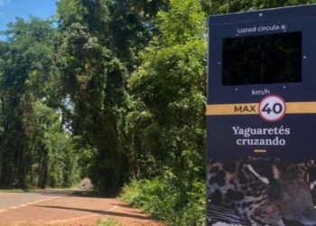 Ambientalistas exigen datos sobre el funcionamiento de los radares