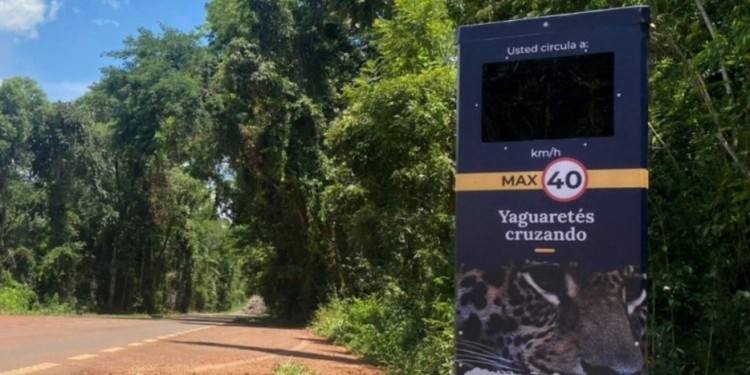 DATOS. Proteccionistas quieren conocer estadísticas de los controles.