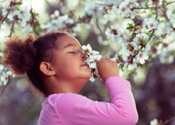 Ecosanación: los sentidos como medio para superar trastornos