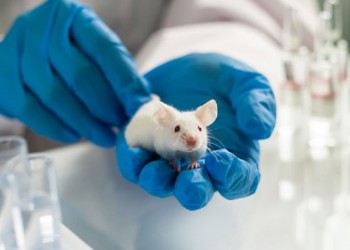 Contra el maltrato: hoy es el Día Internacional del Animal de Laboratorio