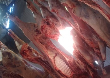 El Alcázar tendrá un matadero propio para productores locales