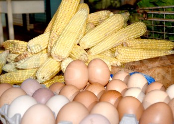 El Mercado Concentrador de Posadas redobla su propuesta para Pascua