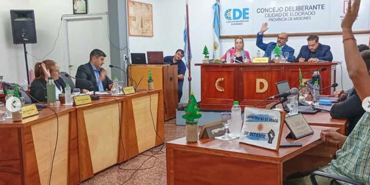 ORDENANZA. La iniciativa fue discutida previamente en comisión y tuvo el voto de los tres ediles integrantes.