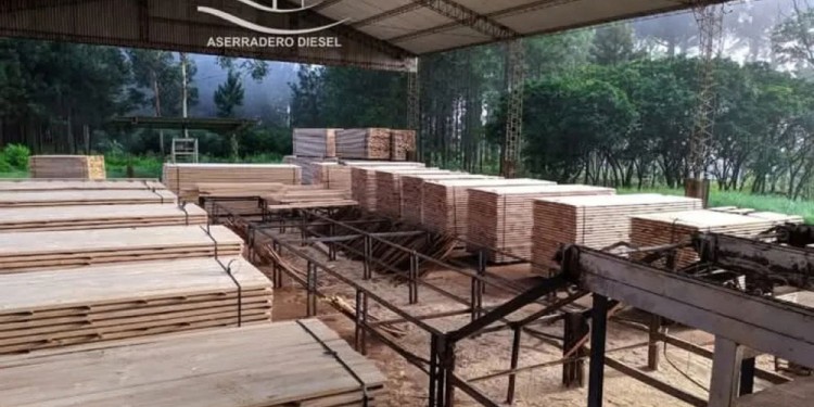 CAPACIDAD OCIOSA. El aserradero Diesel que empleaba a 20 trabajadores, ahora se encuentra inactivo.