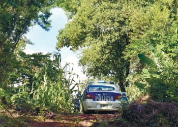 Archivos policiales: el brasileño que violó y mató a una nena en 9 de Julio