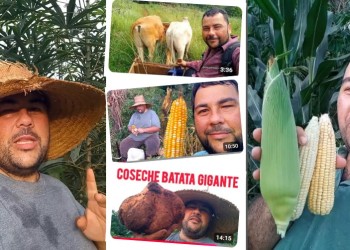 Diego Lima, el nuevo influencer que enseña todo sobre la chacra misionera