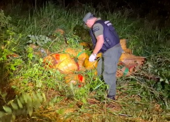 Secuestraron más de 1.200 kilos  de marihuana en Colonia Delicia