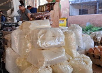 El choclo no escaseó este año y es la “vedette” de las Ferias Francas misioneras