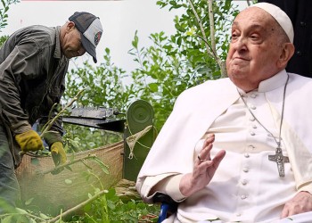 Productores yerbateros piden al papa Francisco que interceda por la crisis del sector