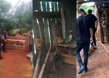 Creyó que eran zorros y eran sus “vecinitos”: le robaron 17 gallinas