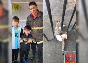 “Patitas” fue rescatada tras quedar atrapada bajo el portón de una vivienda