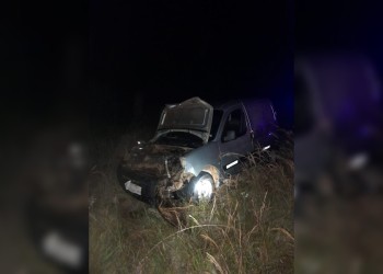 Un vehículo embistió dos cerdos en la ruta 14