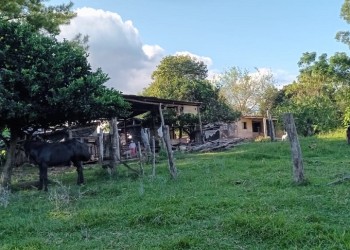 Colonos de San Ignacio se movilizan a Posadas por temor al desalojo
