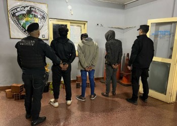 Robaron plantines y ladrillos de un vivero en Posadas: hay tres detenidos