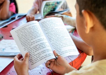 Misiones: 40% de los chicos tiene menos de cinco libros en su casa