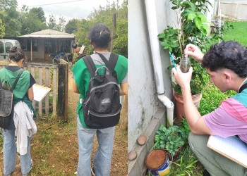 LIRAa en Posadas: “Estamos encontrando  una alta cantidad de criaderos de Aedes”