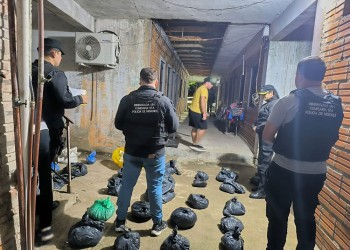 Frustran intento de distribución de más de 30 kilos de marihuana en Posadas