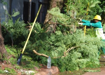 “Los vecinos de Posadas van tomando una mayor conciencia sobre la poda”