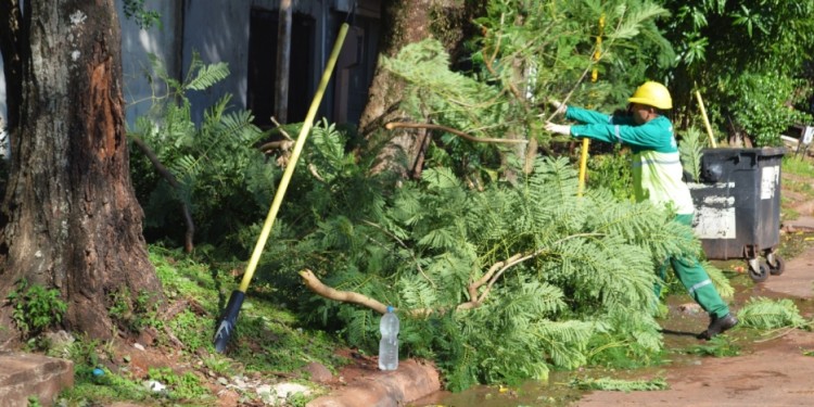 ESTAR ATENTOS. Conocer el organigrama por zonas y chacras es clave para el éxito del operativo de podas.