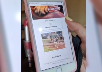 La unión hace la fuerza: Patitas Felices y Pocas Pulgas se juntaron para ganar 1.000 kilos de alimentos