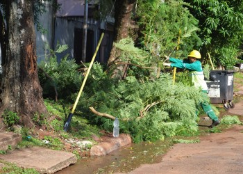 Posadas se prepara para la temporada de poda