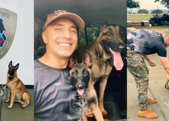 La Policía de Misiones busca nombre para su nueva compañera canina