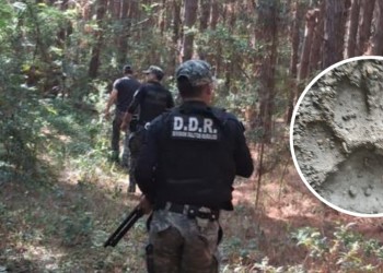 Detectan caza furtiva y posibles rastros de un yaguareté en Gobernador Roca