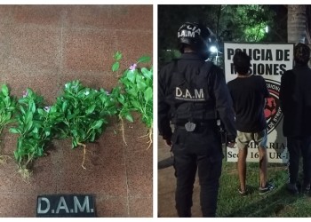 Los captaron robando flores de una plazoleta de Posadas y terminaron detenidos