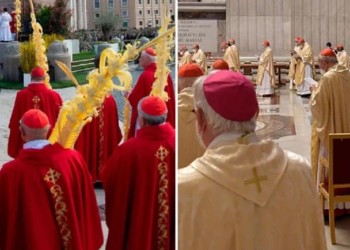 Cuáles son los colores de la Semana Santa