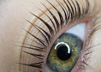 El impacto de lo natural