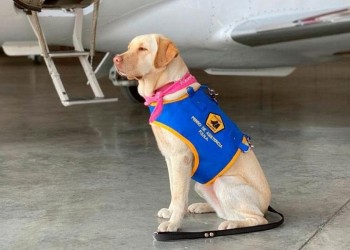 ¿Qué es Bocalan Argentina?