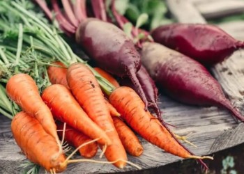 Las verduras y hortalizas ideales para sembrar durante abril