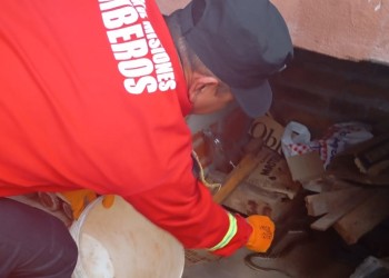 Sorpresa y media: encontró a una yarará en su parrilla