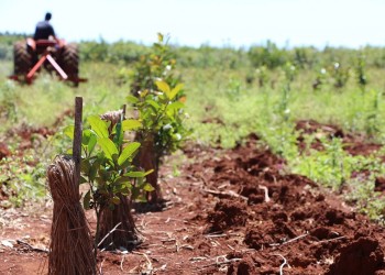 “Esto es el principio del fin para muchos colonos”