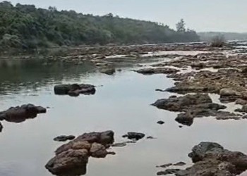 Preocupa el bajo nivel del río Uruguay en los últimos meses