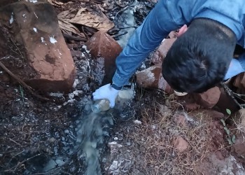 Intervención ante la posible contaminación del arroyo León