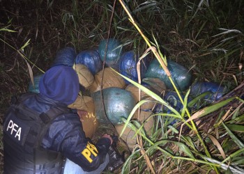 La Policía Federal incautó más de 250 kilos de marihuana en Puerto Esperanza