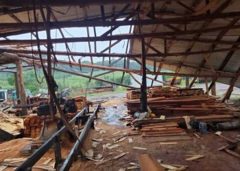 Temporal causó destrozos en el interior de Misiones: “Fue más fuerte que una tormenta”