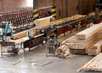 Industriales forestales aseguran que deben tomar deudas para pagar salarios