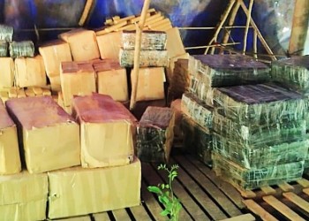 Dos “acopiadores” fueron detenidos y  2,4 toneladas de marihuana secuestradas