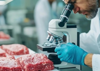 Agricultura celular: la ciencia detrás de la carne cultivada y su potencial sostenible