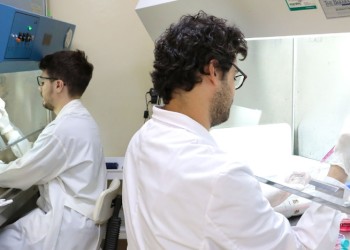 Auditoría a universidades: casi 700 instituciones tienen una deuda millonaria por subsidios científicos