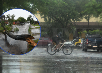 Temporal: “Medimos ráfagas de 116 kilómetros por hora, primera vez que se registra esa intensidad”