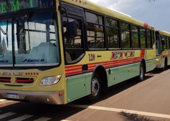 ETCE- Kenia se podrá presentar en la nueva licitación de transporte