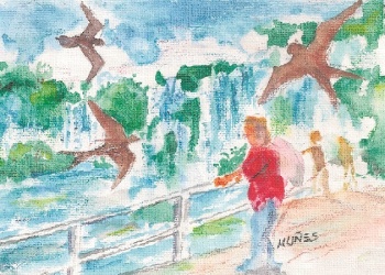 Escritores de Misiones: Renacer en las Cataratas