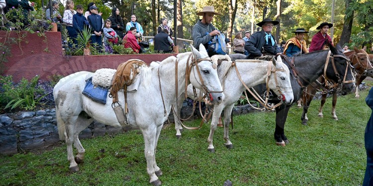 Con el corazón lleno de fe: jóvenes y adultos peregrinaron al Santuario de Fátima