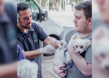 El IMuSA sigue de recorrida por los barrios con sus servicios de atención veterinaria gratuita